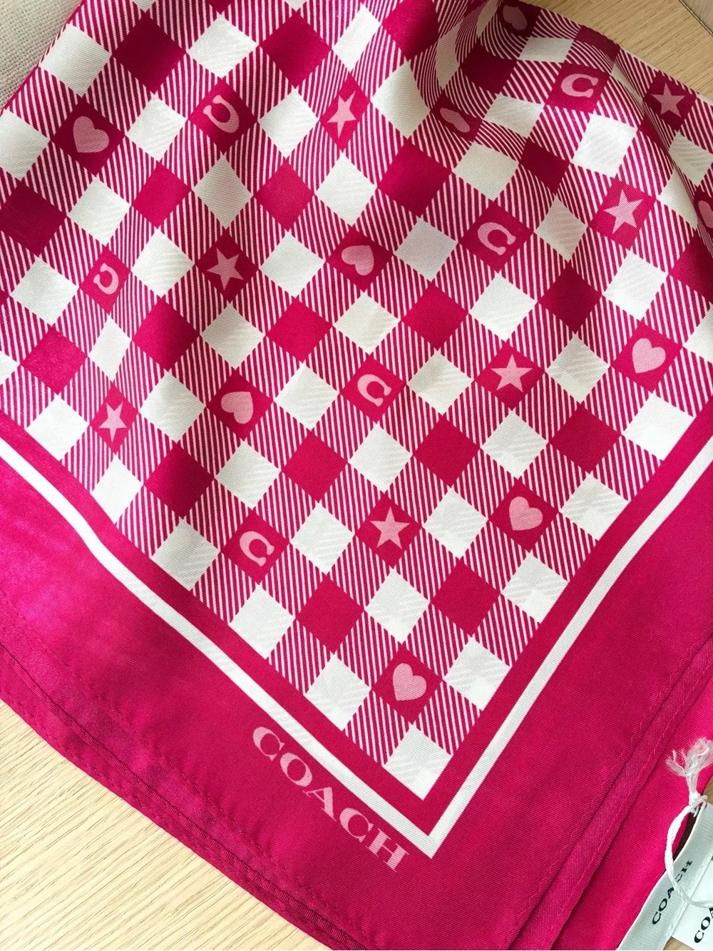 NWT💕Coach Pink Gingham Play Printed Silk Bandana Square Scarf Gift Bag Accessory